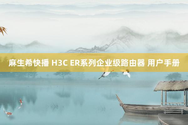麻生希快播 H3C ER系列企业级路由器 用户手册