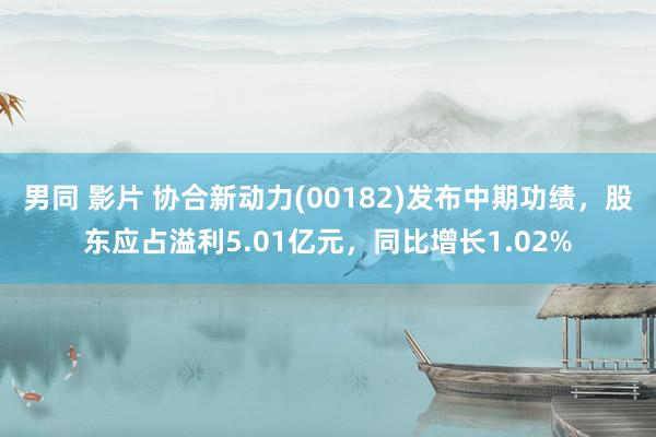 男同 影片 协合新动力(00182)发布中期功绩，股东应占溢利5.01亿元，同比增长1.02%
