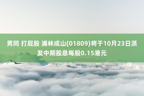 男同 打屁股 浦林成山(01809)将于10月23日派发中期股息每股0.15港元