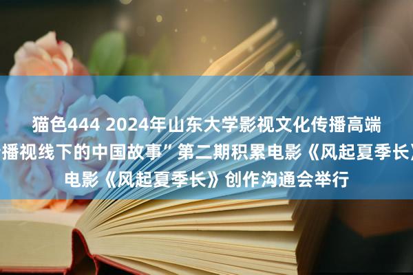 猫色444 2024年山东大学影视文化传播高端学术论坛“国别传播视线下的中国故事”第二期积累电影《风起夏季长》创作沟通会举行
