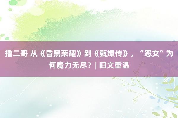 撸二哥 从《昏黑荣耀》到《甄嬛传》，“恶女”为何魔力无尽？| 旧文重温