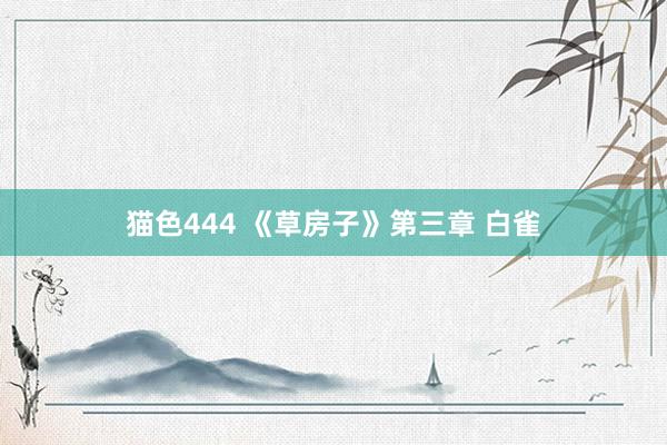 猫色444 《草房子》第三章 白雀