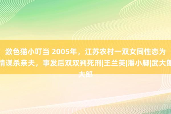 激色猫小叮当 2005年，江苏农村一双女同性恋为情谋杀亲夫，事发后双双判死刑|王兰英|潘小脚|武大郎
