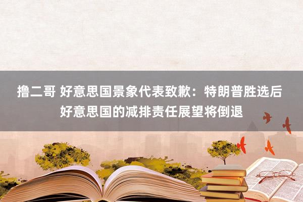 撸二哥 好意思国景象代表致歉：特朗普胜选后 好意思国的减排责任展望将倒退