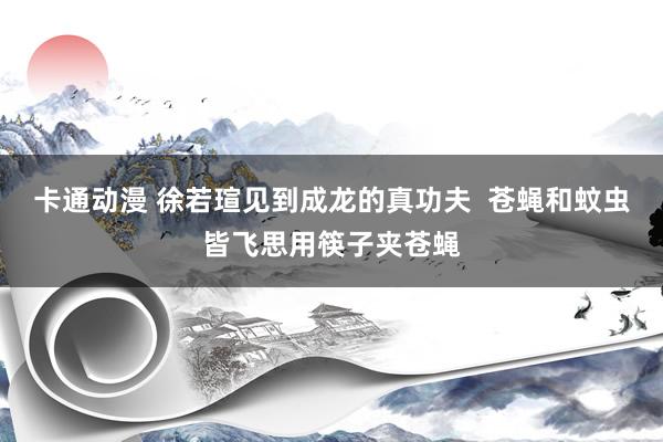 卡通动漫 徐若瑄见到成龙的真功夫  苍蝇和蚊虫皆飞思用筷子夹苍蝇