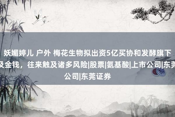 妖媚婷儿 户外 梅花生物拟出资5亿买协和发酵旗下业务及金钱，往来触及诸多风险|股票|氨基酸|上市公司|东莞证券