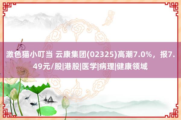 激色猫小叮当 云康集团(02325)高潮7.0%，报7.49元/股|港股|医学|病理|健康领域