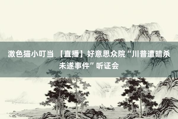 激色猫小叮当 【直播】好意思众院“川普遭暗杀未遂事件”听证会