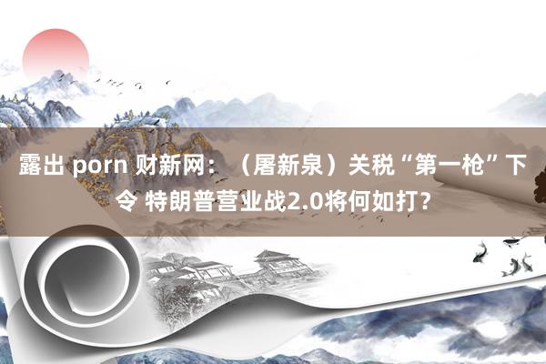 露出 porn 财新网：（屠新泉）关税“第一枪”下令 特朗普营业战2.0将何如打？