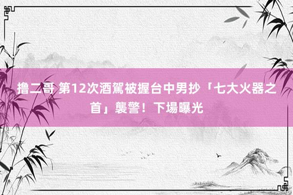 撸二哥 第12次酒駕被握　台中男抄「七大火器之首」襲警！下場曝光