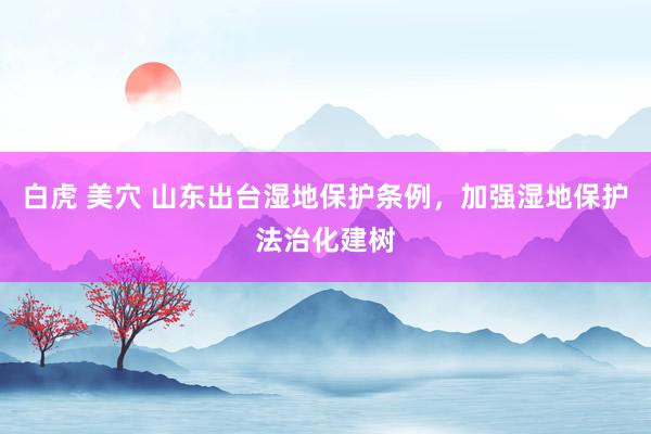 白虎 美穴 山东出台湿地保护条例，加强湿地保护法治化建树