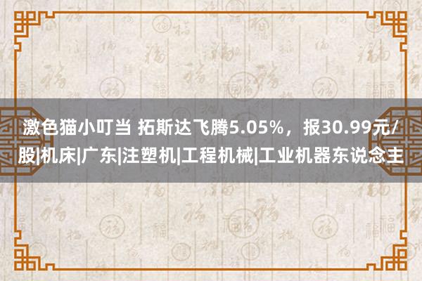 激色猫小叮当 拓斯达飞腾5.05%，报30.99元/股|机床|广东|注塑机|工程机械|工业机器东说念主