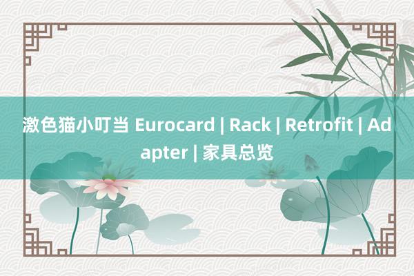激色猫小叮当 Eurocard | Rack | Retrofit | Adapter | 家具总览
