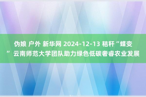 伪娘 户外 新华网 2024-12-13 秸秆“蝶变” 云南师范大学团队助力绿色低碳奢睿农业发展