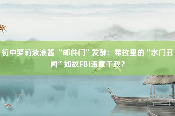 初中萝莉液液酱 “邮件门”发酵：希拉里的“水门丑闻”如故FBI违章干政？
