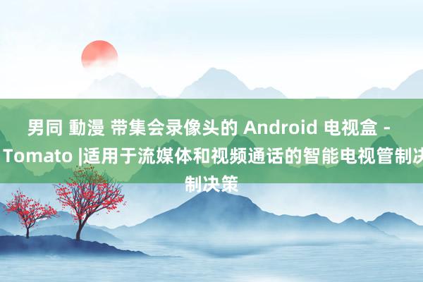 男同 動漫 带集会录像头的 Android 电视盒 - SZ Tomato |适用于流媒体和视频通话的智能电视管制决策