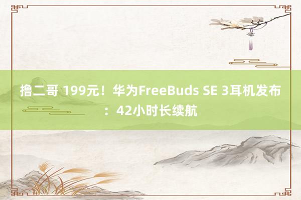撸二哥 199元！华为FreeBuds SE 3耳机发布：42小时长续航