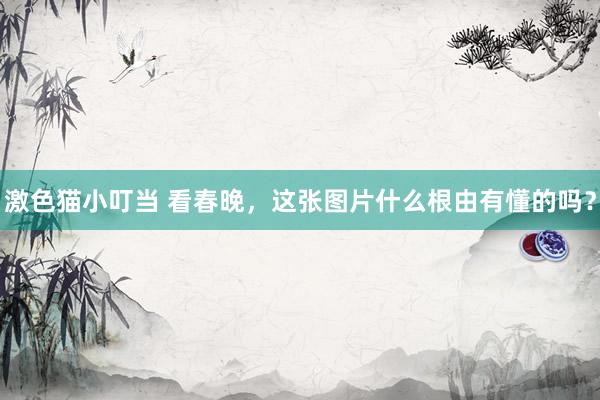 激色猫小叮当 看春晚，这张图片什么根由有懂的吗？