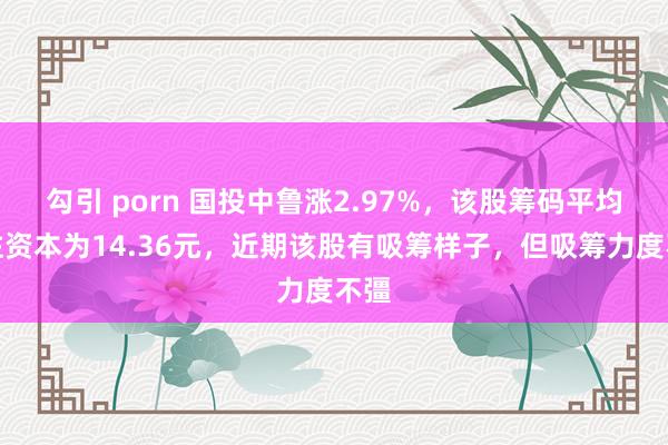 勾引 porn 国投中鲁涨2.97%，该股筹码平均交往资本为14.36元，近期该股有吸筹样子，但吸筹力度不彊