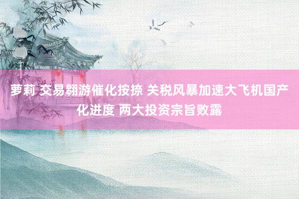 萝莉 交易翱游催化按捺 关税风暴加速大飞机国产化进度 两大投资宗旨败露