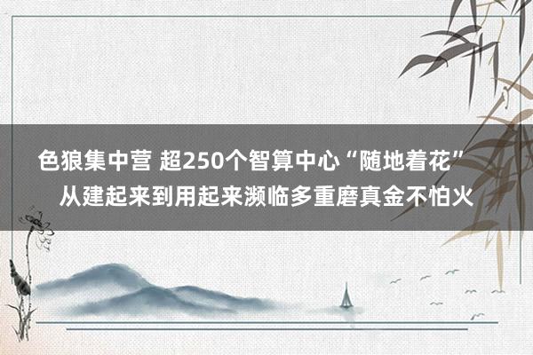 色狼集中营 超250个智算中心“随地着花”    从建起来到