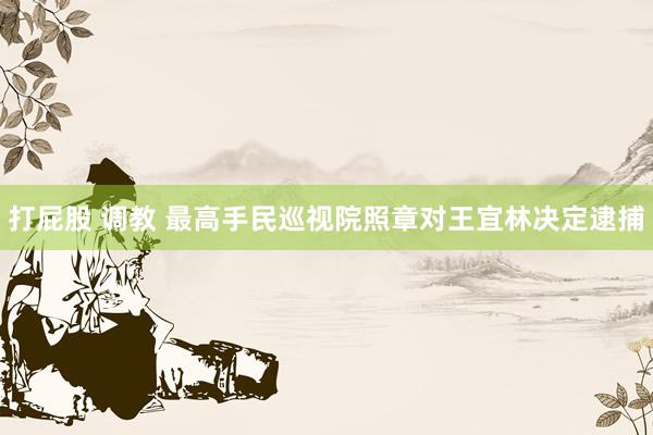 打屁股 调教 最高手民巡视院照章对王宜林决定逮捕