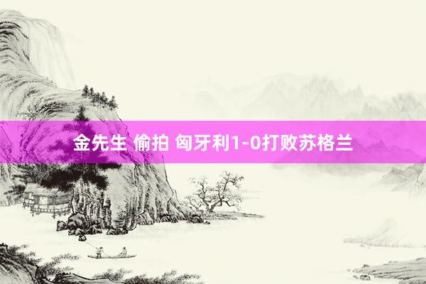 金先生 偷拍 匈牙利1-0打败苏格兰