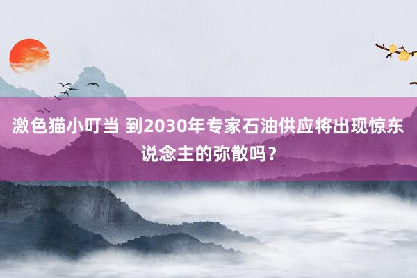 激色猫小叮当 到2030年专家石油供应将出现惊东说念主的弥散