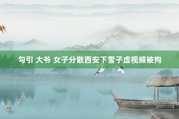 勾引 大爷 女子分散西安下雪子虚视频被拘