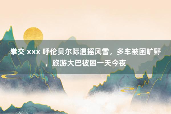 拳交 xxx 呼伦贝尔际遇摇风雪，多车被困旷野，旅游大巴被困