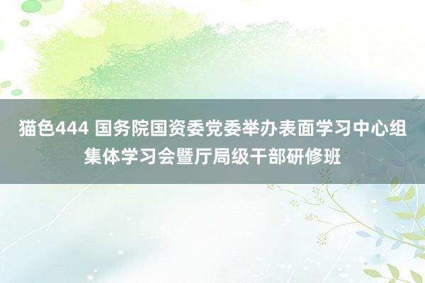 猫色444 国务院国资委党委举办表面学习中心组集体学习会暨厅局级干部研修班