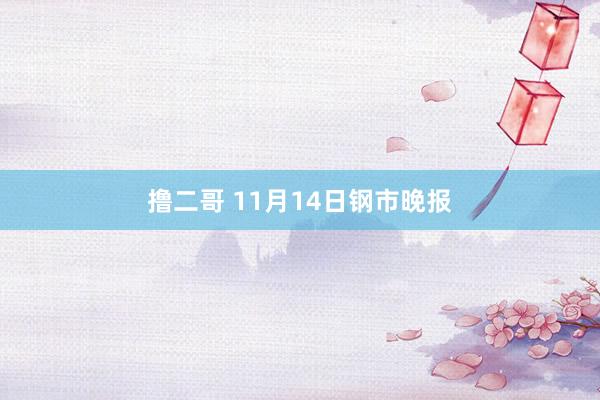 撸二哥 11月14日钢市晚报