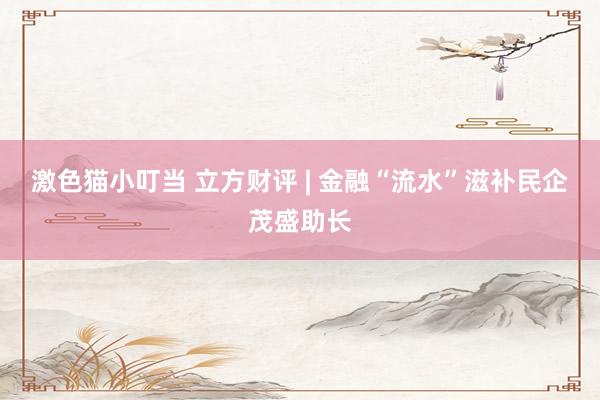 激色猫小叮当 立方财评 | 金融“流水”滋补民企茂盛助长