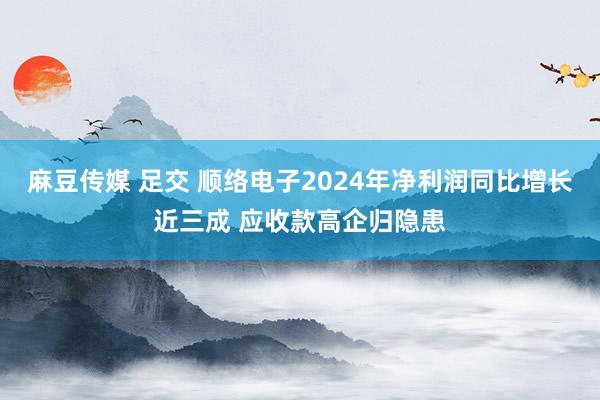 麻豆传媒 足交 顺络电子2024年净利润同比增长近三成 应收