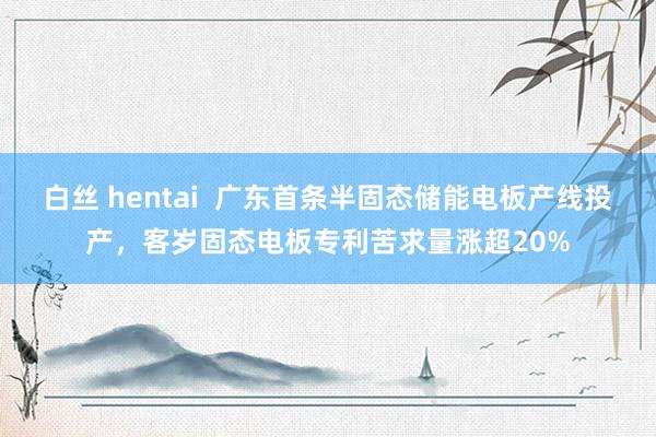 白丝 hentai  广东首条半固态储能电板产线投产，客岁固