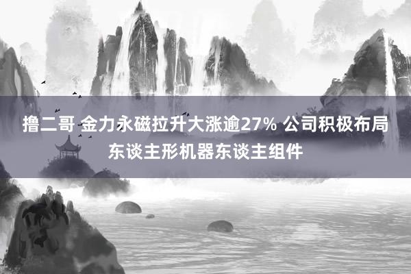 撸二哥 金力永磁拉升大涨逾27% 公司积极布局东谈主形机器东